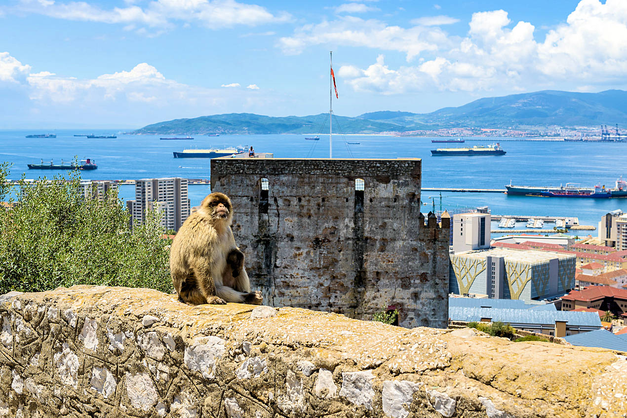 Gibraltar Tour at the Moorish Castle
